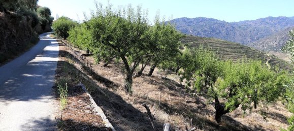 4 Schlafzimmer Haus in Sao Joao da Pesqueira, Portugal, Nr. 68734 38