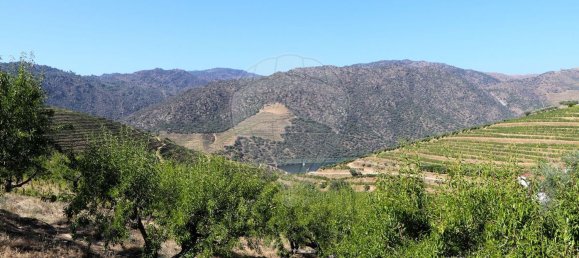 4 Schlafzimmer Haus in Sao Joao da Pesqueira, Portugal, Nr. 68734 45