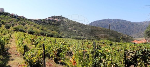 4 Schlafzimmer Haus in Sao Joao da Pesqueira, Portugal, Nr. 68734 49