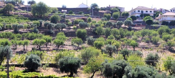 4 Schlafzimmer Haus in Sao Joao da Pesqueira, Portugal, Nr. 68734 46