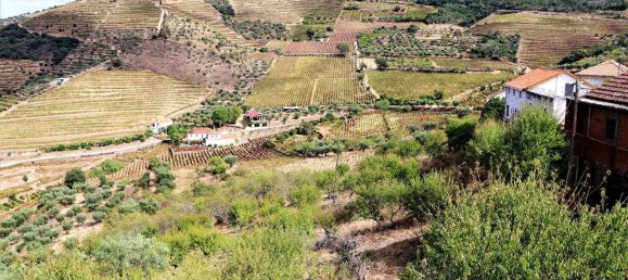 4 Schlafzimmer Haus in Sao Joao da Pesqueira, Portugal, Nr. 68734 20