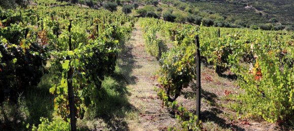 4 Schlafzimmer Haus in Sao Joao da Pesqueira, Portugal, Nr. 68734 48