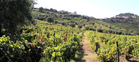 4 Schlafzimmer Haus in Sao Joao da Pesqueira, Portugal, Nr. 68734 39