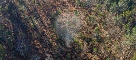 3200m² Land in Ponte de Lima, Portugal No. 42852 7