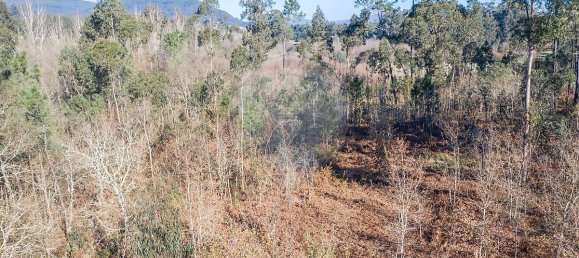 3200m² Land in Ponte de Lima, Portugal No. 42852 4