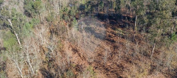 3200m² Land in Ponte de Lima, Portugal No. 42852 5