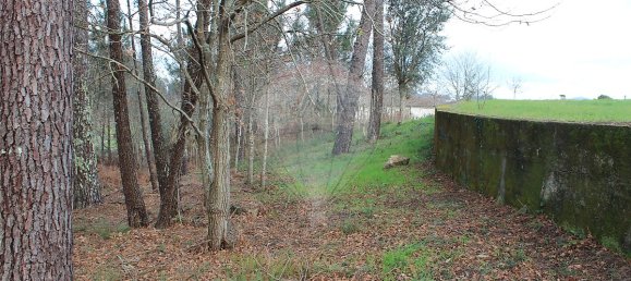 3200m² Land in Ponte de Lima, Portugal No. 42852 8