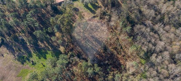 3200m² Land in Ponte de Lima, Portugal No. 42852 3