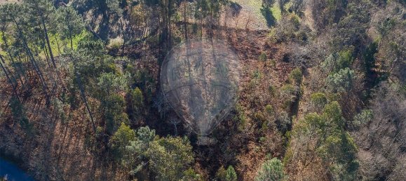 3200m² Land in Ponte de Lima, Portugal No. 42852 6