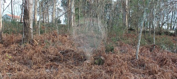 3200m² Land in Ponte de Lima, Portugal No. 42852 10