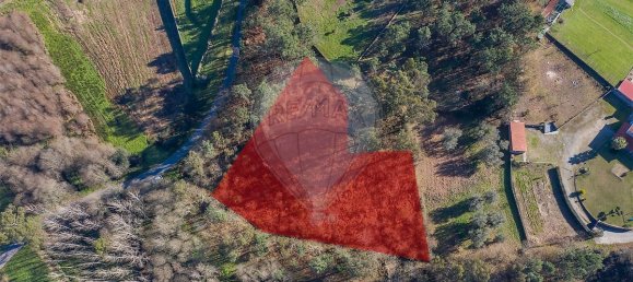 3200m² Land in Ponte de Lima, Portugal No. 42852 2