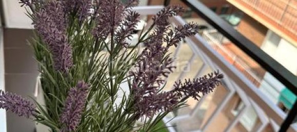 3 غرف نوم شقة في Madrid, Spain رقم 168581 21