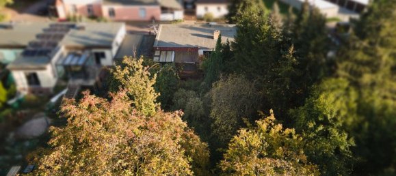 4-salle Bungalow à Magdeburg, Germany No. 61454 7