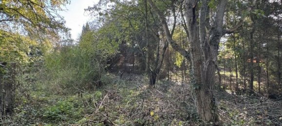 4-salle Bungalow à Magdeburg, Germany No. 61454 45