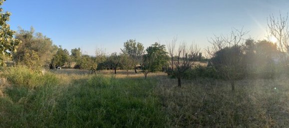 3 bedrooms Villa in Chrysoupoli, Greece No. 1921 28