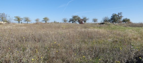 Terreno em Coltainville, France N.º 92369 2