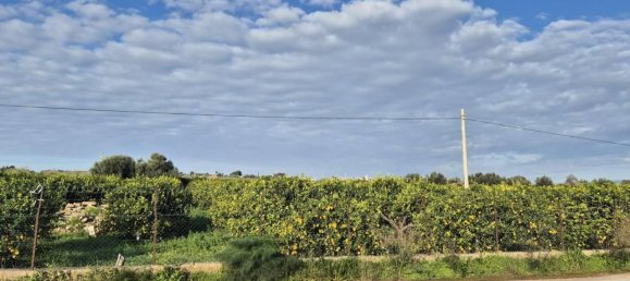 1-salle Terrain à Noto, Italy No. 27708 8