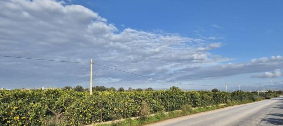 1-salle Terrain à Noto, Italy No. 27708 6