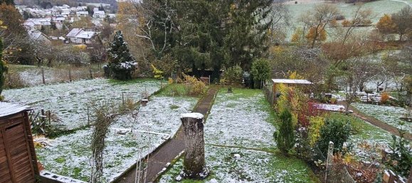 3 غرف نوم منزل في Sankt Wendel, Germany رقم 66997 10