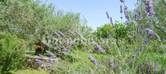 4 bedrooms House in Collazzone, Italy No. 138203 32