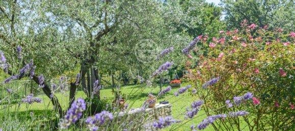 4 bedrooms House in Collazzone, Italy No. 138203 35