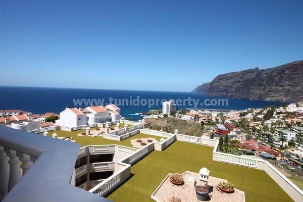 2 bedrooms Apartment in Acantilado De Los Gigantes, Spain No. 717