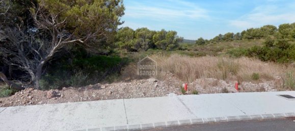  Land in Es Mercadal, Spain No. 3881 2