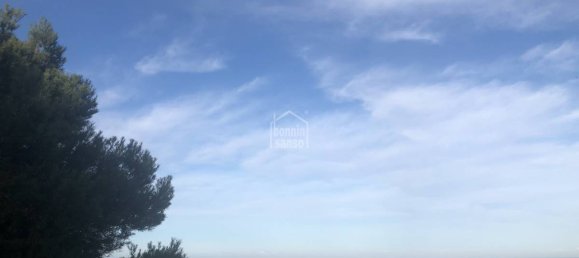  Land in Es Mercadal, Spain No. 3881 3