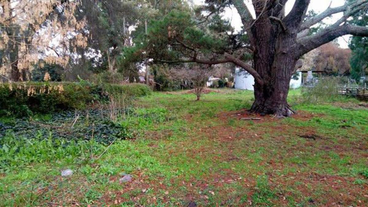  Land in Mar del Plata, Argentina No. 113248