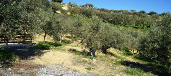 4 chambres Propriété commerciale à Heraklion, Greece No. 5327 3