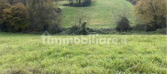14080m² Land in Traversetolo, Italy No. 61306 5