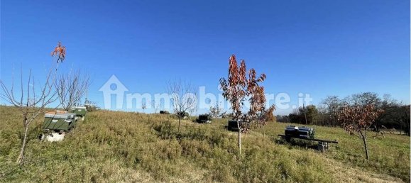 14080m² Land in Traversetolo, Italy No. 61306 25