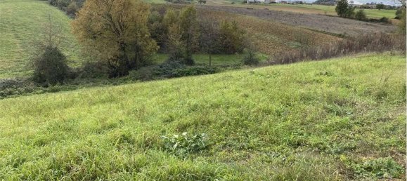14080m² Land in Traversetolo, Italy No. 61306 11