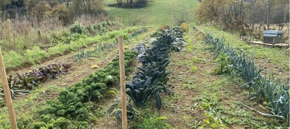 14080m² Land in Traversetolo, Italy No. 61306 6