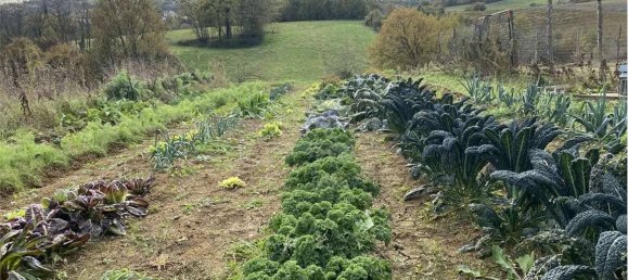 14080m² Land in Traversetolo, Italy No. 61306 4