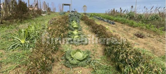 14080m² Land in Traversetolo, Italy No. 61306 8