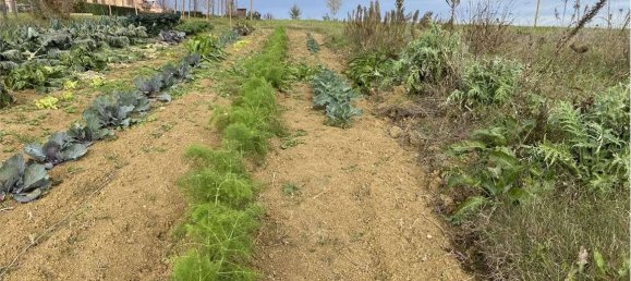 14080m² Land in Traversetolo, Italy No. 61306 9