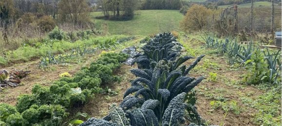 14080m² Land in Traversetolo, Italy No. 61306 10