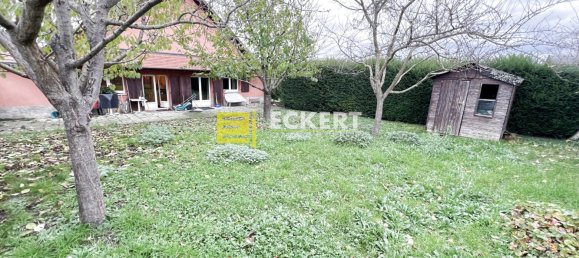 3 غرف نوم بناية في Bischoffsheim, France رقم 41498 12