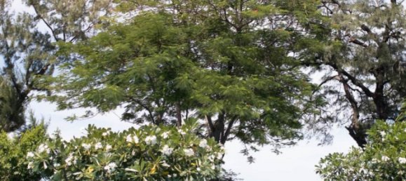 Apartamento com 2 quartos em condomínio em Hua Hin, Thailand N.º 6993 2