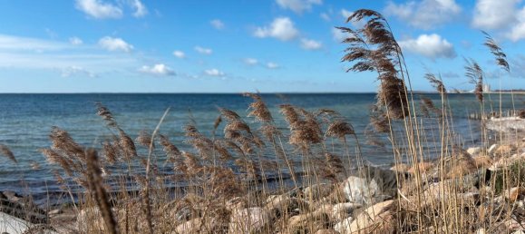 Студия в Восточный Гольштейн, Германия № 63162 2