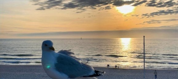 Квартира с 2 комнатами в Северная Фрисландия, Германия № 52809 15