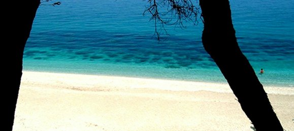 900m² Townhouse in Magnesia, Greece No. 7559 4