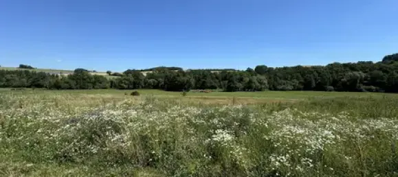 Земельный участок в Биркенфельд, Германия № 174358 3