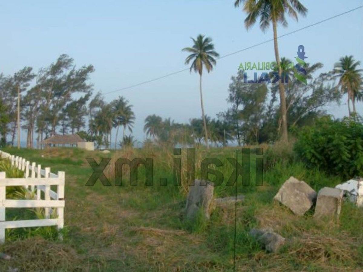  Land in Veracruz, Mexico No. 204292