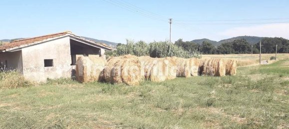  مستودع في Magione, Italy 50متر مربع رقم 143723 12