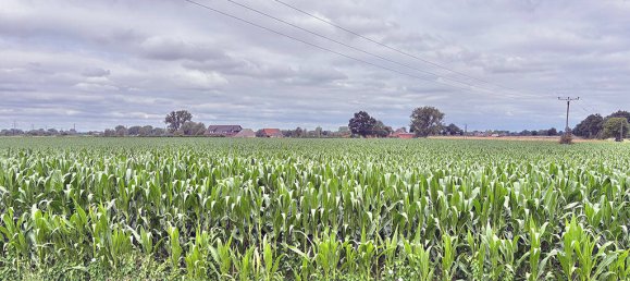 7غرفة تاون هاوس في Kleve, Germany رقم 228028 23