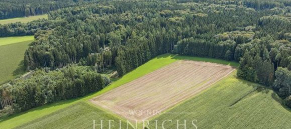 Земельный участок в Neu-Ulm, Германия № 312328 4