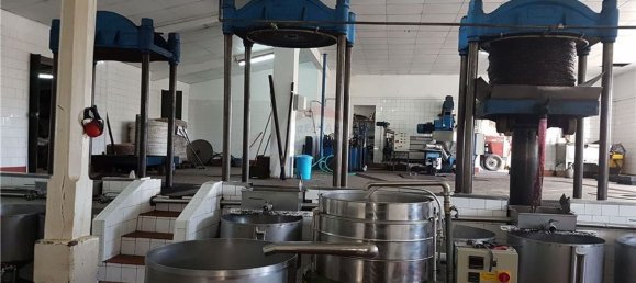 Gebäude in Aguas Belas, Portugal 1000m², Nr. 67857 20