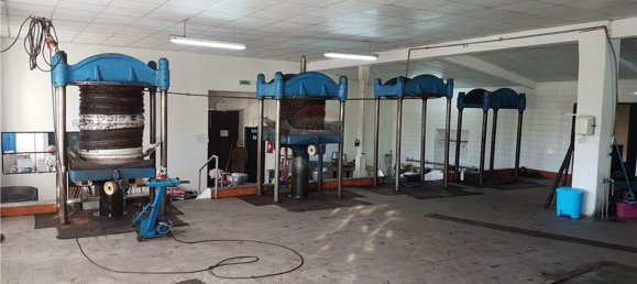 Gebäude in Aguas Belas, Portugal 1000m², Nr. 67857 2